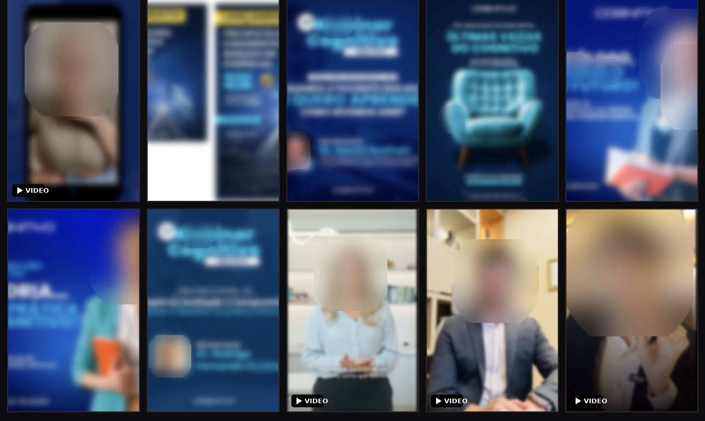 Grid of blurred ad creatives from the campaign